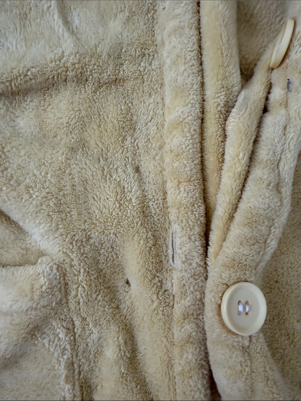 Lion Robe - Picture 2 of 3